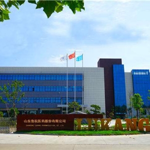 山东鲁抗医药有限公司
